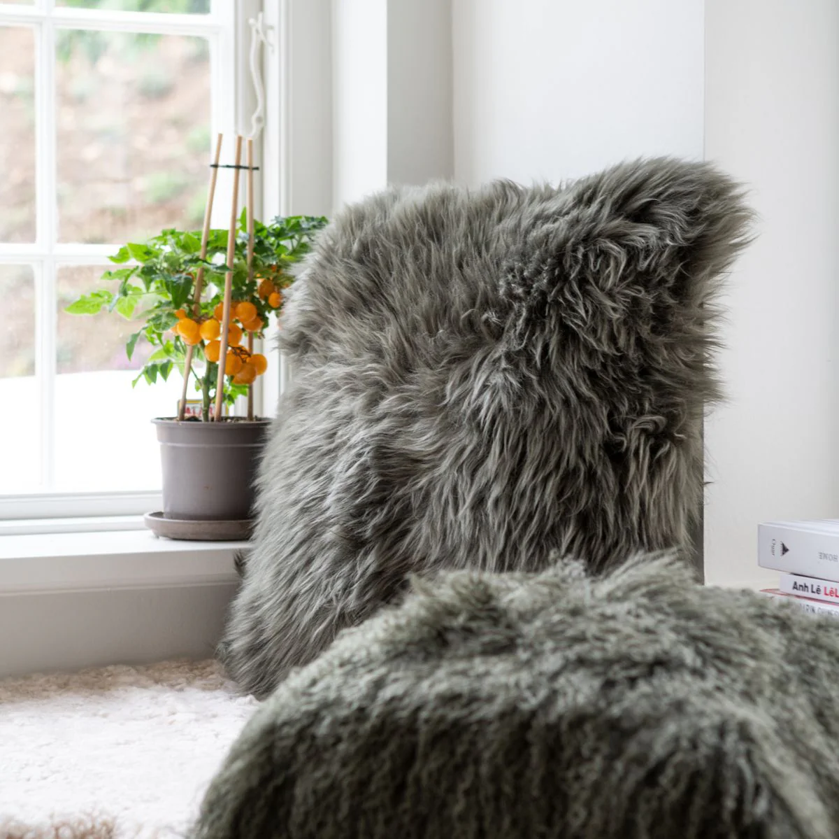 Product image 50